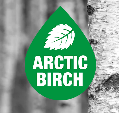 Arctic Birch